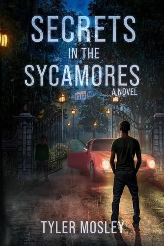 Cover image for Secrets in the Sycamores