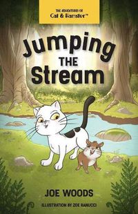 Cover image for Jumping the Stream: The Adventures of Cat and Hamster