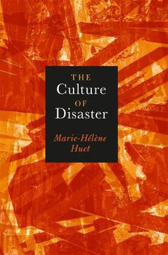 Cover image for The Culture of Disaster