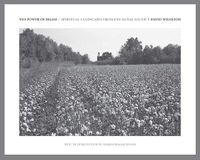 Cover image for The Power of Belief: Spiritual Landscapes of the Rural South