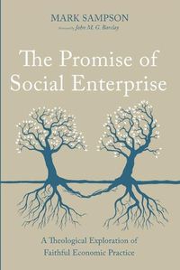 Cover image for The Promise of Social Enterprise: A Theological Exploration of Faithful Economic Practice