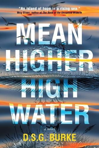Cover image for Mean Higher High Water