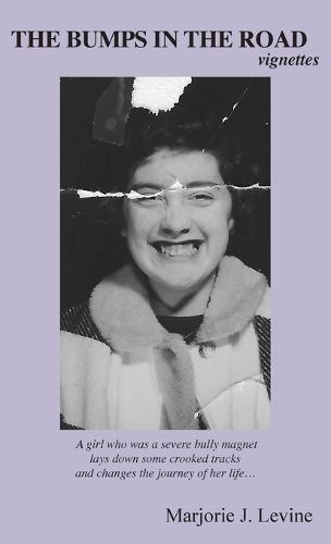 Cover image for BUMPS IN THE ROAD Vignettes