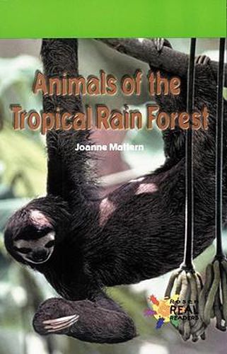 Animals of the Tropical Rain Forest