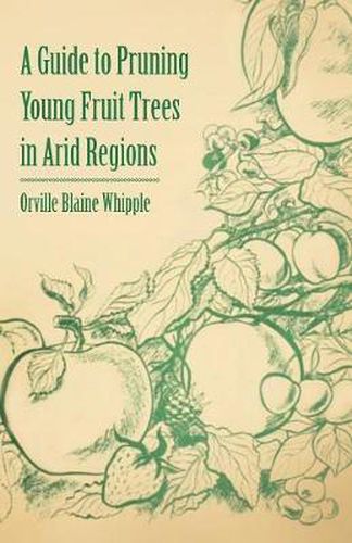 Cover image for A Guide to Pruning Young Fruit Trees in Arid Regions