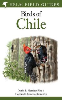 Cover image for Field Guide to the Birds of Chile