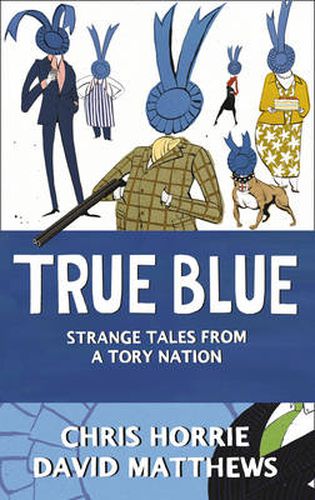 Cover image for True Blue: Strange Tales from a Tory Nation