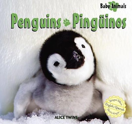 Cover image for Penguins / Pinguinos