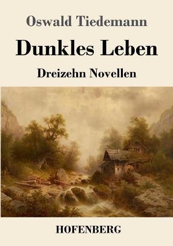 Cover image for Dunkles Leben