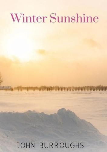 Cover image for Winter Sunshine