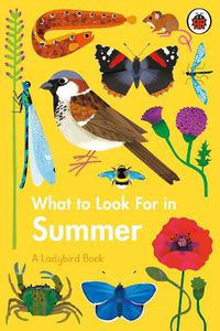 Cover image for What to Look For in Summer