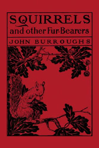 Cover image for Squirrels and Other Fur-Bearers