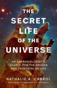 Cover image for The Secret Life of the Universe