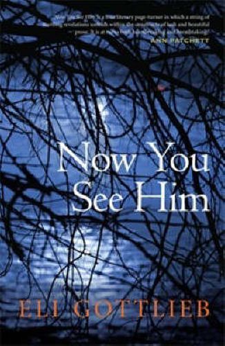 Cover image for Now You See Him