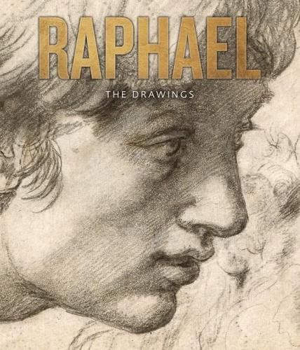 Cover image for Raphael: The Drawing