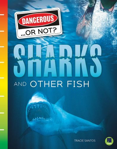 Cover image for Sharks and Other Fish