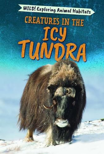 Cover image for Creatures in the Icy Tundra