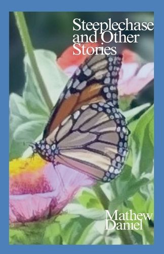 Cover image for Steeplechase and Other Stories