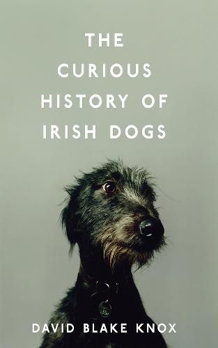 The Curious History of Irish Dogs