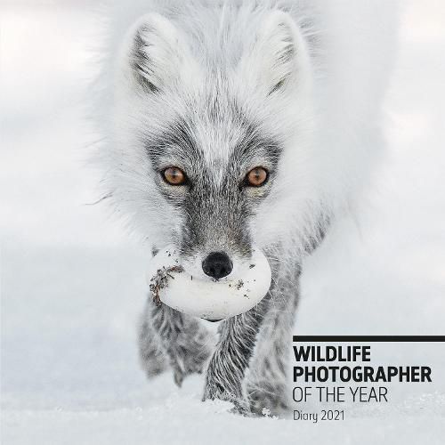 Cover image for Wildlife Photographer of the Year Desk Diary 2021