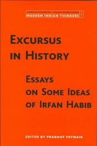 Cover image for Excursus in History - Essays on Some Ideas of Irfan Habib