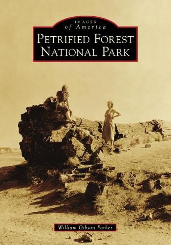 Cover image for Petrified Forest National Park