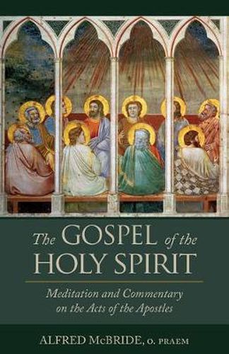 Cover image for The Gospel of the Holy Spirit: Meditations and Commentary on the Acts of the Apostles