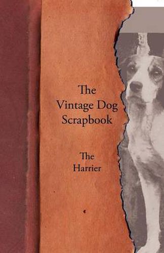 Cover image for The Vintage Dog Scrapbook - The Harrier