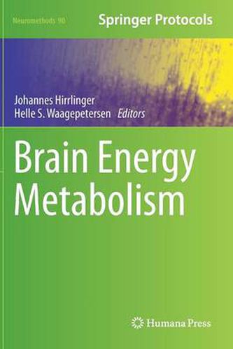 Cover image for Brain Energy Metabolism