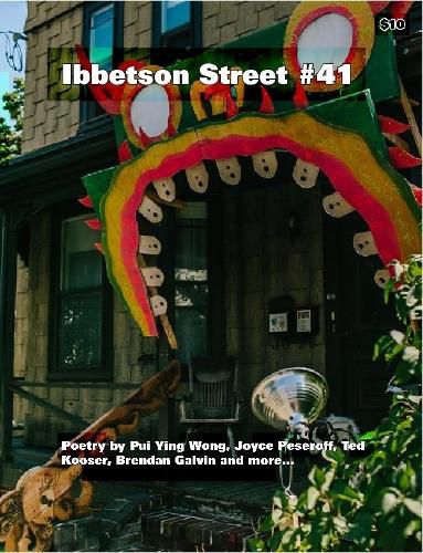 Ibbetson Street #41