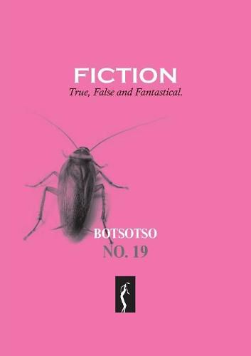 Cover image for Botsotso 19: Fiction: True, False and Fantastical