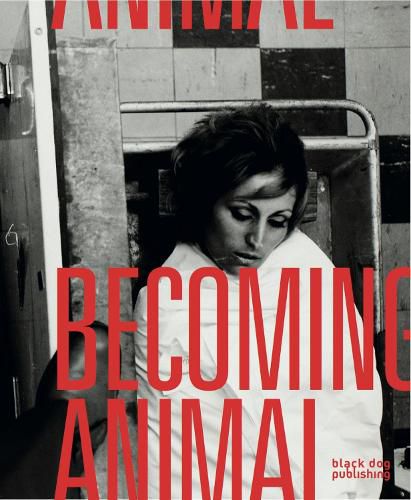 Cover image for Becoming Animal