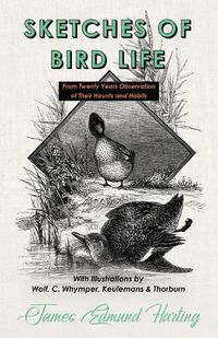 Cover image for Sketches of Bird Life - From Twenty Years Observation of Their Haunts and Habits - With Illustrations by Wolf, C. Whymper, Keulemans, and Thorburn
