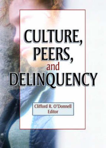 Cover image for Culture, Peers, and Delinquency