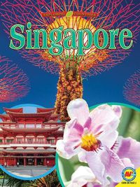 Cover image for Singapore