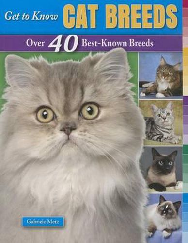 Cover image for Get to Know Cat Breeds: Over 40 Best-Known Breeds