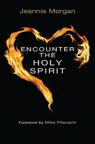 Cover image for Encounter the Holy Spirit