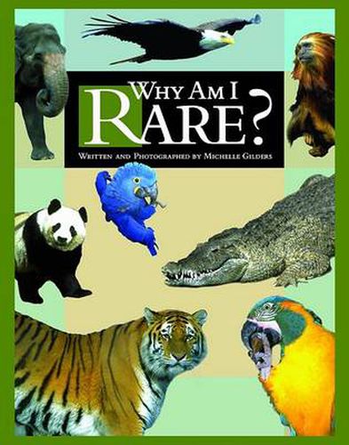 Cover image for Why am I Rare?