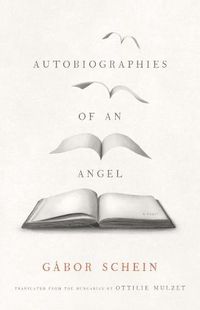 Cover image for Autobiographies of an Angel: A Novel