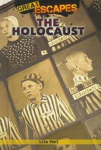 Cover image for The Holocaust