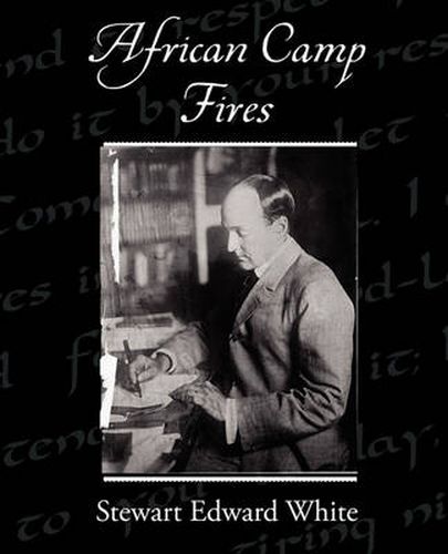 Cover image for African Camp Fires