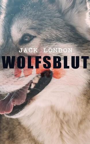 Cover image for Wolfsblut