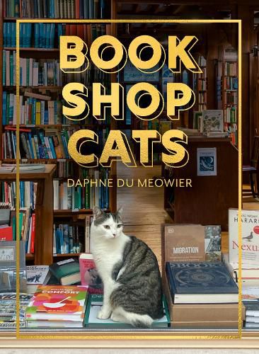 Cover image for Bookshop Cats