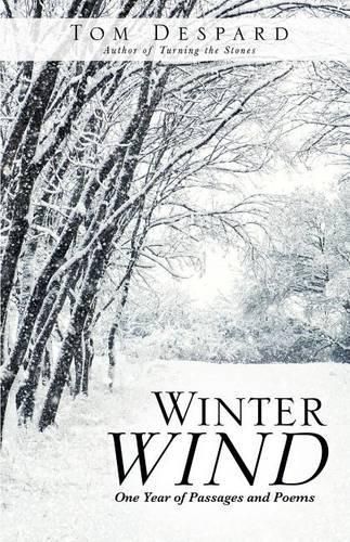 Cover image for Winter Wind