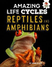 Cover image for Reptiles and Amphibians - Amazing Life Cycles