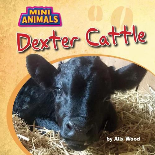 Cover image for Dexter Cattle