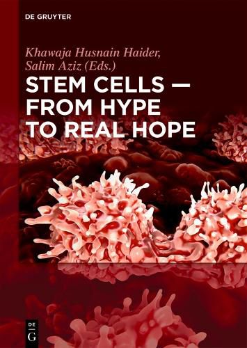 Cover image for Stem Cells - From Hype to Real Hope