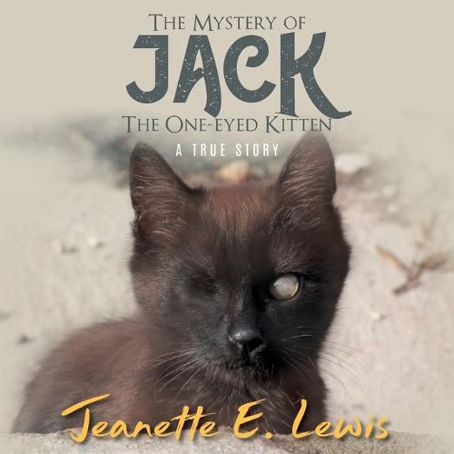 Cover image for The Mystery of Jack, the One-Eyed Kitten: A True Story