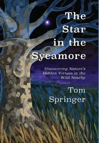 Cover image for The Star in the Sycamore: Discovering Nature's Hidden Virtues in the Wild Nearby