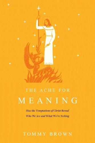 Cover image for The Ache for Meaning